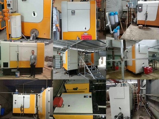 Small 800kg/h 0.7Mpa 1.0Mpa 1.2Mpa  Biomass Boiler For Greenhouse
